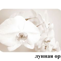 БОСТОН опоры Брифинг в Югорске - yugorsk.mebel24.online | фото 18