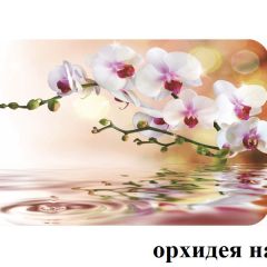 БОСТОН опоры Брифинг в Югорске - yugorsk.mebel24.online | фото 21