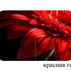БОСТОН опоры Триумф в Югорске - yugorsk.mebel24.online | фото 27