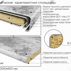 Кухонный фартук со столешницей (А-014) в едином стиле (3050 мм) в Югорске - yugorsk.mebel24.online | фото 7