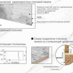 Кухонный фартук со столешницей (А-014) в едином стиле (3050 мм) в Югорске - yugorsk.mebel24.online | фото 6