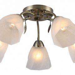 Потолочная люстра Rivoli Olivia Б0052693 в Югорске - yugorsk.mebel24.online | фото