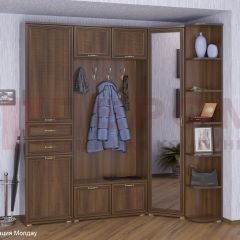 Прихожая Карина композиция 3 (Акация Молдау) в Югорске - yugorsk.mebel24.online | фото
