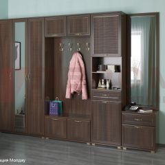 Прихожая Карина композиция 6 (Акация Молдау) в Югорске - yugorsk.mebel24.online | фото