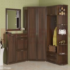 Прихожая Карина композиция 8 (Акация Молдау) в Югорске - yugorsk.mebel24.online | фото