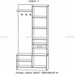 Прихожая София 1 в Югорске - yugorsk.mebel24.online | фото 3