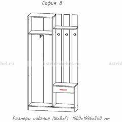 Прихожая София 8 в Югорске - yugorsk.mebel24.online | фото 2