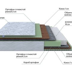 PROxSON Матрас Green M (Tricotage Dream) 80x190 в Югорске - yugorsk.mebel24.online | фото 6