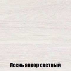 Шкаф 2-х створчатый МСП-1 (Ясень Анкор светлый) в Югорске - yugorsk.mebel24.online | фото 4