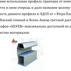 Шкаф-купе 1950 серии SILVER S5+S5+S5 B22+PL4 (по 2 ящика лев/прав+F обр.штанга) профиль «Серебро» в Югорске - yugorsk.mebel24.online | фото 4