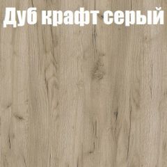Шкаф-купе Бассо 1.0 (Дуб Крафт серый/Бетонный камень) 2 двери ЛДСП 1 зеркальная вставка в Югорске - yugorsk.mebel24.online | фото 4