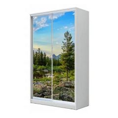 Шкаф-купе ХИТ 23-4-15-77 (420) в Югорске - yugorsk.mebel24.online | фото