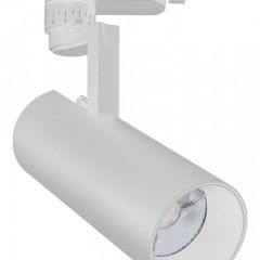 Светильник на штанге Escada 20029 20029TRA/01LED SWH в Югорске - yugorsk.mebel24.online | фото