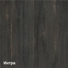 Трувор Шкаф 13.204.01 в Югорске - yugorsk.mebel24.online | фото 3