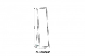 АЛЕКСАНДРИЯ-9.1 Зеркало напольное в Югорске - yugorsk.mebel24.online | фото 2