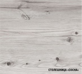 АСАЯ Кухонный гарнитур Экстра 2 (3000 мм) ПМ в Югорске - yugorsk.mebel24.online | фото 8