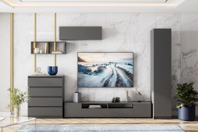 ДЕНВЕР Пенал (Графит серый) в Югорске - yugorsk.mebel24.online | фото 4