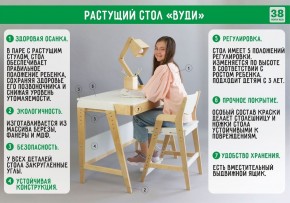 Комплект растущий стол и стул с чехлом 38 попугаев «Вуди» (Серый, Береза, Салют) в Югорске - yugorsk.mebel24.online | фото