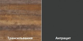 Кухонный гарнитур угловой Трансильвания 2400x1600 мм (Стол. 38 мм) Антрацит/Трансильвания в Югорске - yugorsk.mebel24.online | фото 3