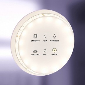 Лента светодиодная Maytoni Led strip 10103 в Югорске - yugorsk.mebel24.online | фото 2