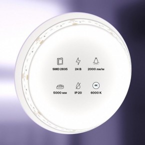 Лента светодиодная Maytoni Led strip 10156 в Югорске - yugorsk.mebel24.online | фото 2