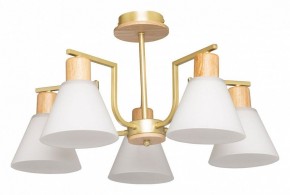 Люстра на штанге De City Дэла 45 635016505 в Югорске - yugorsk.mebel24.online | фото