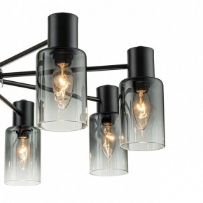 Люстра на штанге Escada Diversity 2120/8P Black в Югорске - yugorsk.mebel24.online | фото 5