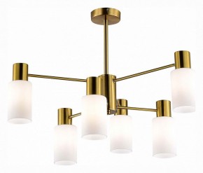 Люстра на штанге EVOLUCE Gessi SLE1139-302-06 в Югорске - yugorsk.mebel24.online | фото 2