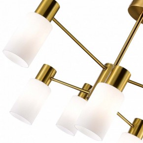 Люстра на штанге EVOLUCE Gessi SLE1139-302-06 в Югорске - yugorsk.mebel24.online | фото 3