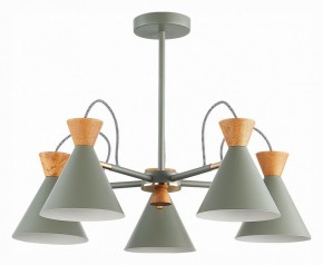 Люстра на штанге EVOLUCE Modica SLE125112-05 в Югорске - yugorsk.mebel24.online | фото 1