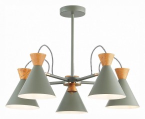Люстра на штанге EVOLUCE Modica SLE125112-05 в Югорске - yugorsk.mebel24.online | фото 2