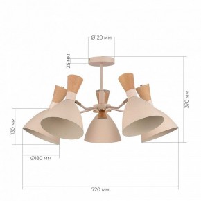 Люстра на штанге EVOLUCE VISTA SLE1256-502-05 в Югорске - yugorsk.mebel24.online | фото 8