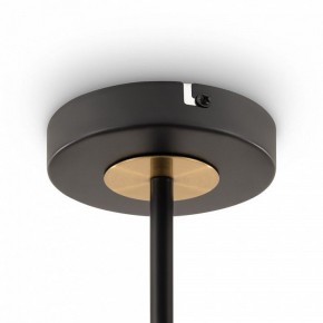 Люстра на штанге Freya Hats FR5370CL-04B в Югорске - yugorsk.mebel24.online | фото 6