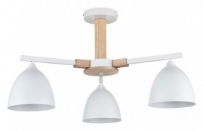 Люстра на штанге Lumion Colange 8095/3C в Югорске - yugorsk.mebel24.online | фото