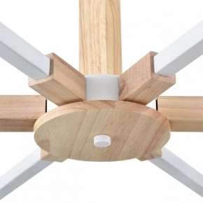 Люстра на штанге Lumion Colange 8095/6C в Югорске - yugorsk.mebel24.online | фото 7