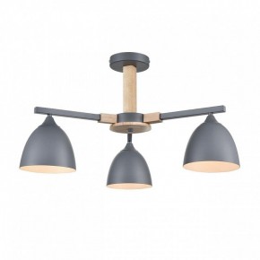 Люстра на штанге Lumion Colange 8096/3C в Югорске - yugorsk.mebel24.online | фото 2