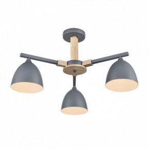 Люстра на штанге Lumion Colange 8096/3C в Югорске - yugorsk.mebel24.online | фото 3