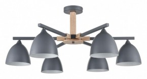 Люстра на штанге Lumion Colange 8096/6C в Югорске - yugorsk.mebel24.online | фото