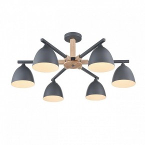 Люстра на штанге Lumion Colange 8096/6C в Югорске - yugorsk.mebel24.online | фото 3