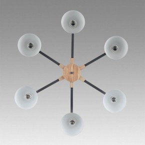Люстра на штанге Lumion Colange 8096/6C в Югорске - yugorsk.mebel24.online | фото 4