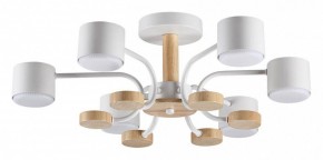 Люстра на штанге Lumion Rondo 8231/6C в Югорске - yugorsk.mebel24.online | фото