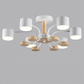 Люстра на штанге Lumion Rondo 8231/6C в Югорске - yugorsk.mebel24.online | фото 4