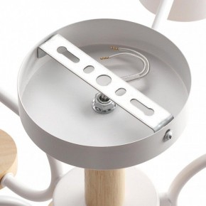 Люстра на штанге Lumion Rondo 8231/6C в Югорске - yugorsk.mebel24.online | фото 6