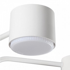 Люстра на штанге Lumion Rondo 8231/6C в Югорске - yugorsk.mebel24.online | фото 7