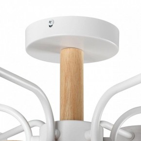Люстра на штанге Lumion Rondo 8231/6C в Югорске - yugorsk.mebel24.online | фото 8