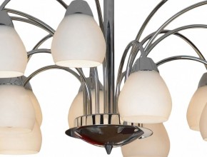 Люстра на штанге Lussole Apiro LSF-2403-15 в Югорске - yugorsk.mebel24.online | фото 2