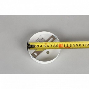 Люстра на штанге Omnilux Mearino OML-29717-08 в Югорске - yugorsk.mebel24.online | фото 10