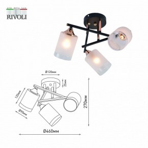 Люстра на штанге Rivoli Fiona Б0059259 в Югорске - yugorsk.mebel24.online | фото