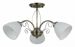 Люстра на штанге Rivoli Sue Б0060985 в Югорске - yugorsk.mebel24.online | фото