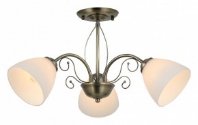 Люстра на штанге Rivoli Sue Б0060985 в Югорске - yugorsk.mebel24.online | фото 2